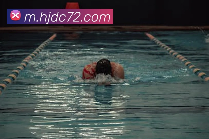 皇家赌场hjdc平台生态图