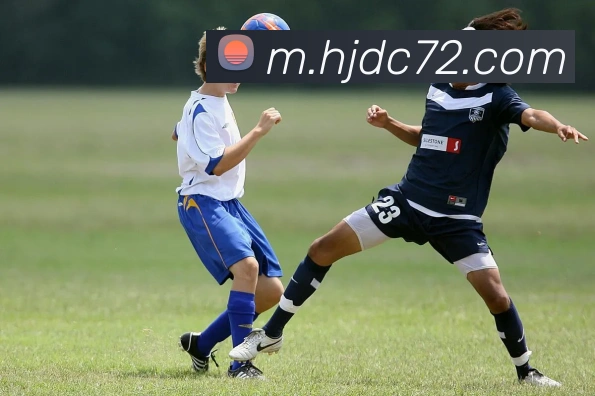 皇家赌场hjdcAPP 封面图